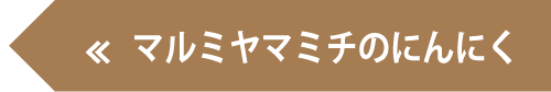 マルミヤマミチのにんにく